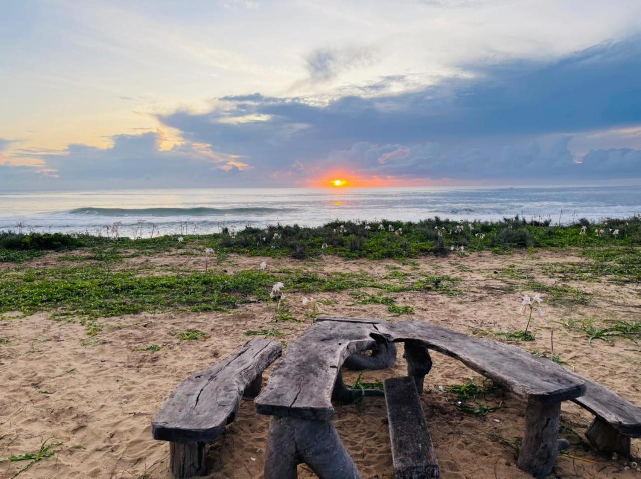 Jungle Surf Camp Bed & Breakfast Panama Exterior photo