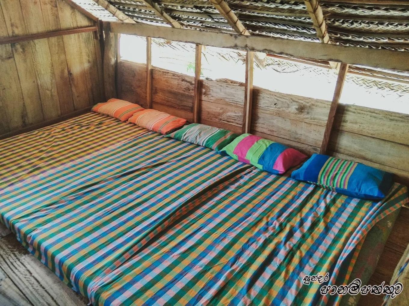 Jungle Surf Camp Bed & Breakfast Panama Exterior photo