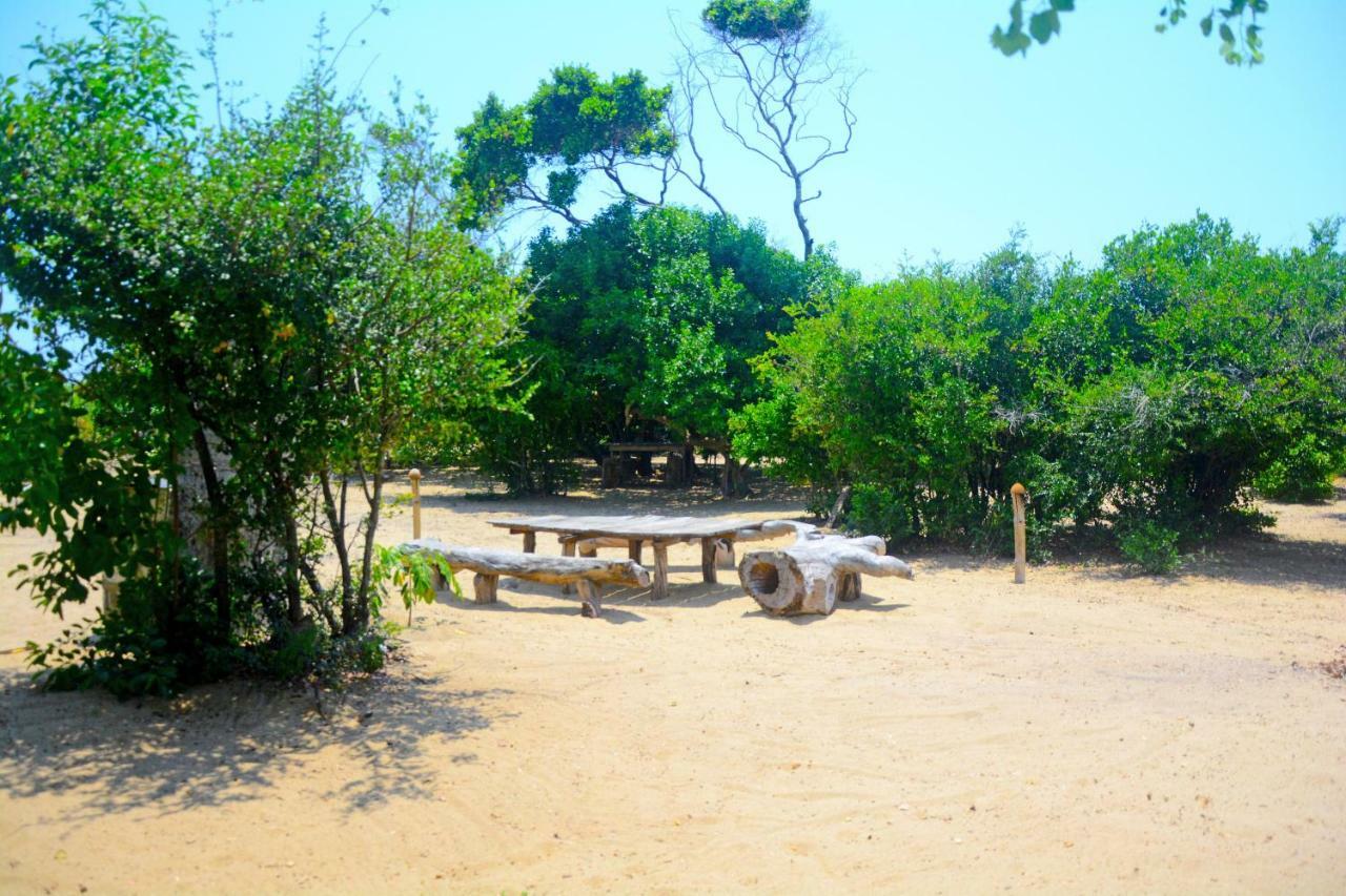 Jungle Surf Camp Bed & Breakfast Panama Exterior photo