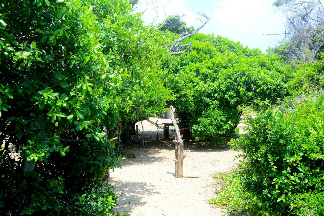 Jungle Surf Camp Bed & Breakfast Panama Exterior photo