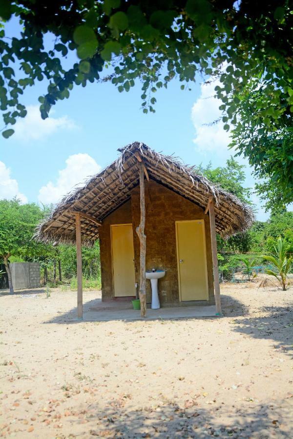 Jungle Surf Camp Bed & Breakfast Panama Exterior photo