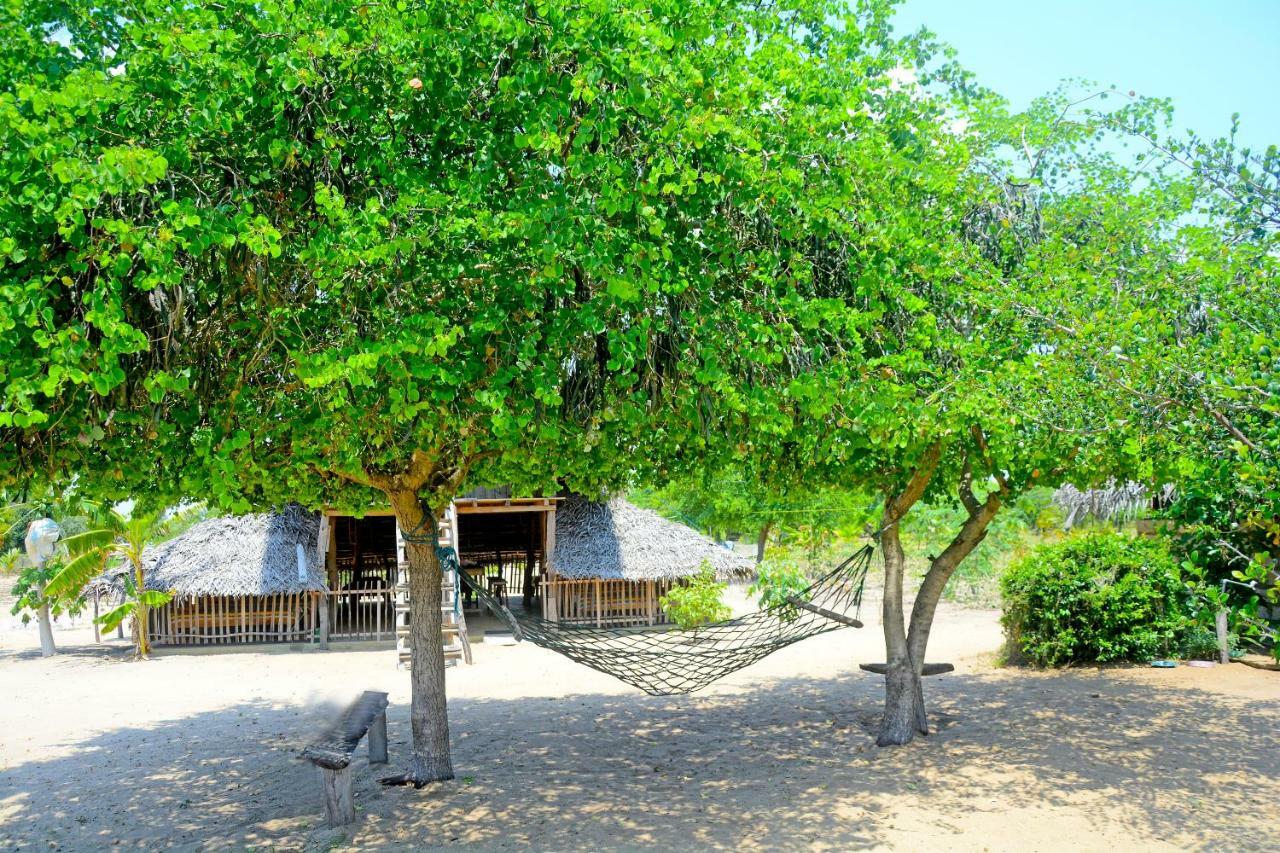 Jungle Surf Camp Bed & Breakfast Panama Exterior photo