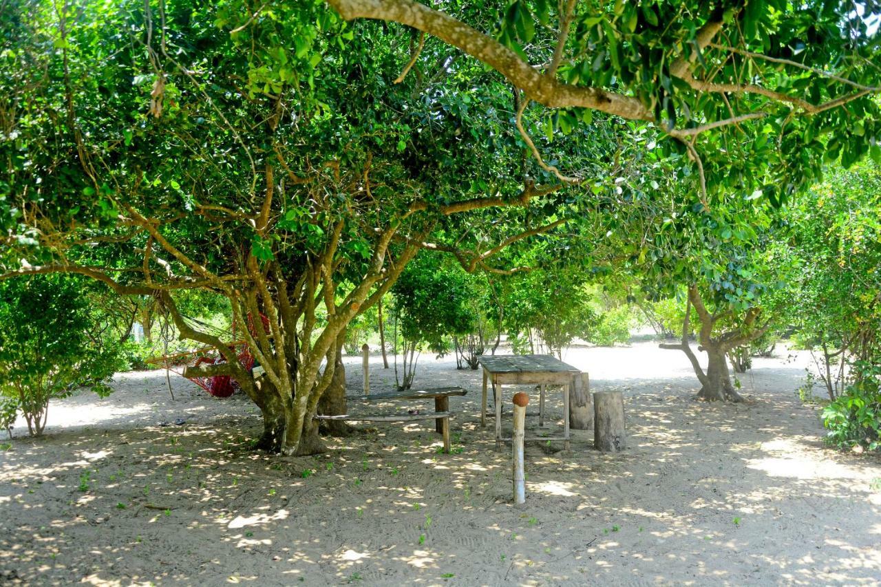 Jungle Surf Camp Bed & Breakfast Panama Exterior photo